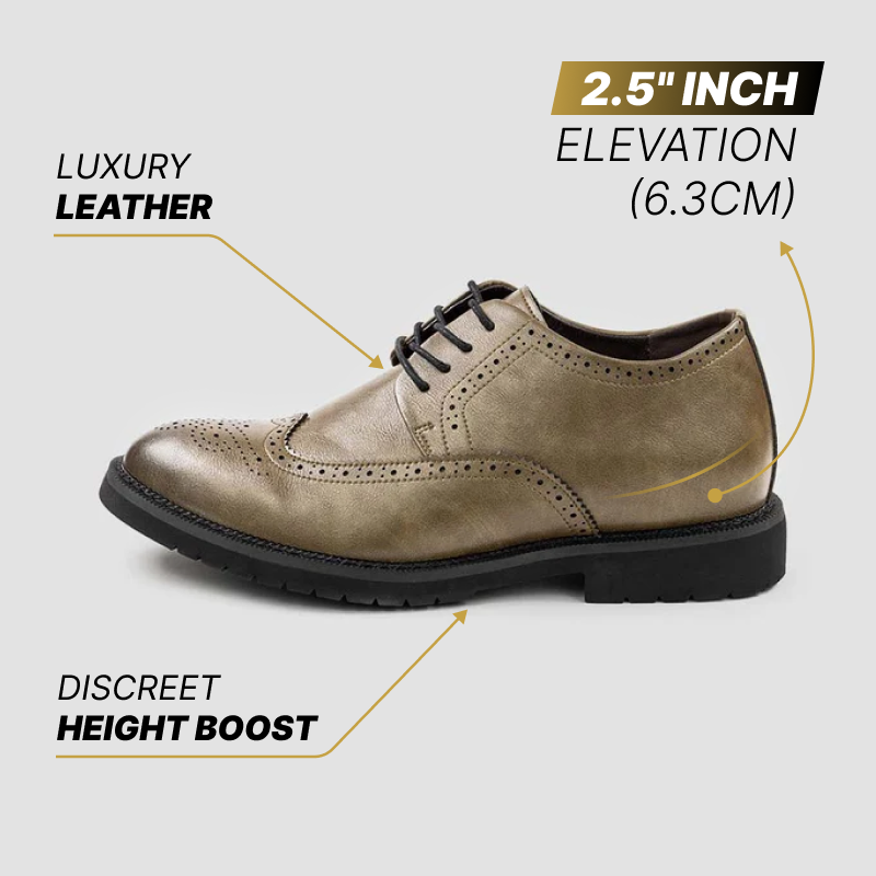 Venice Brogues